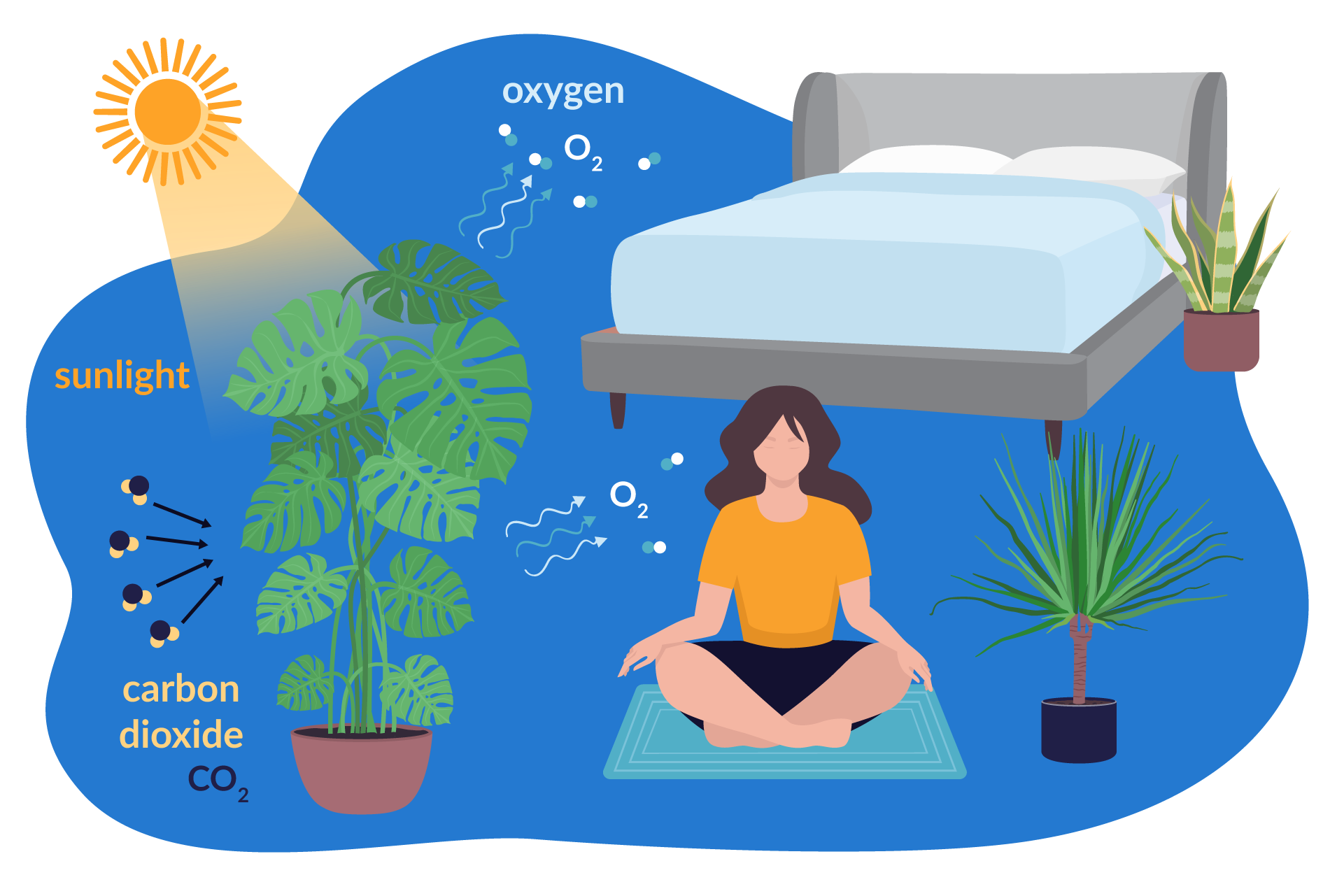 oxygen production with plants
